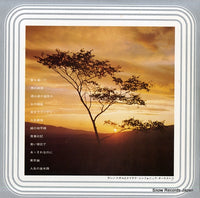 CDX-2521 back cover