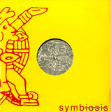 SYMB22 front cover