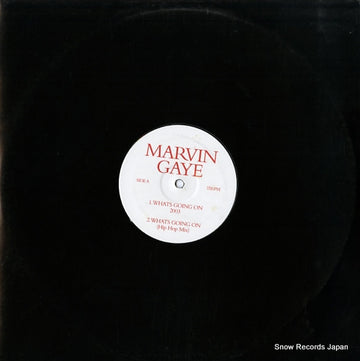 GAYE-01 front cover