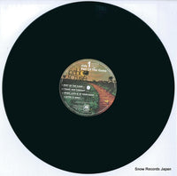 AMP-6066 disc